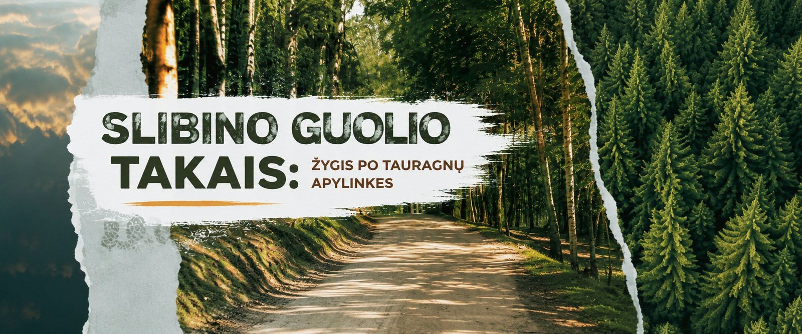 Slibino guolio takais